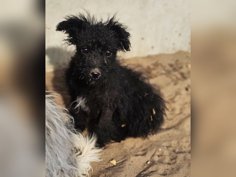 Flohkus entdeckt mit Begeisterung Neues