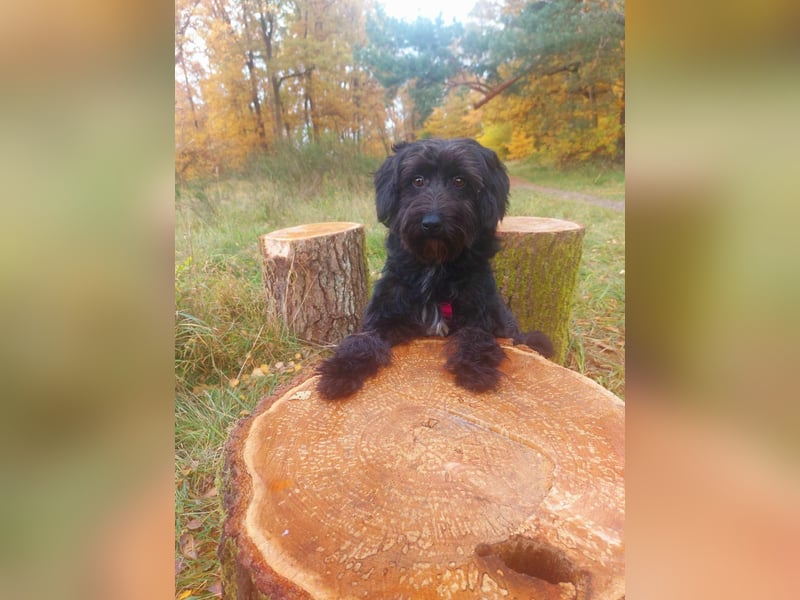 Rogella ist eine richtige Frohnatur (12621 Berlin)