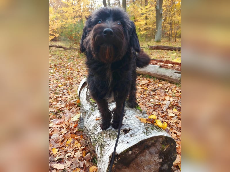 Rogella ist eine richtige Frohnatur (12621 Berlin)