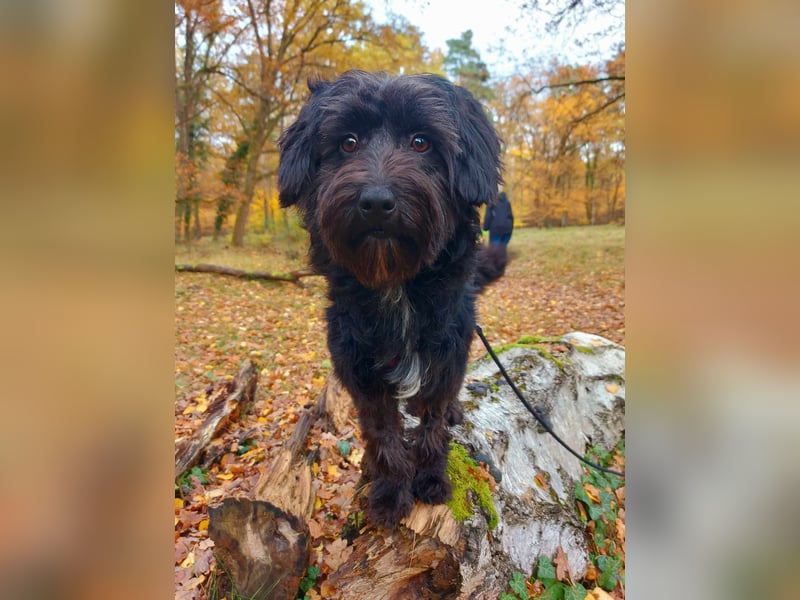 Rogella ist eine richtige Frohnatur (12621 Berlin)