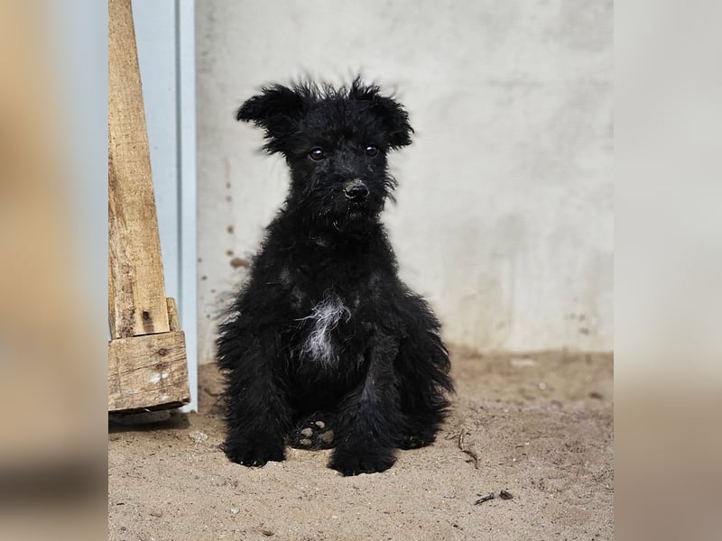 Flohkus entdeckt mit Begeisterung Neues