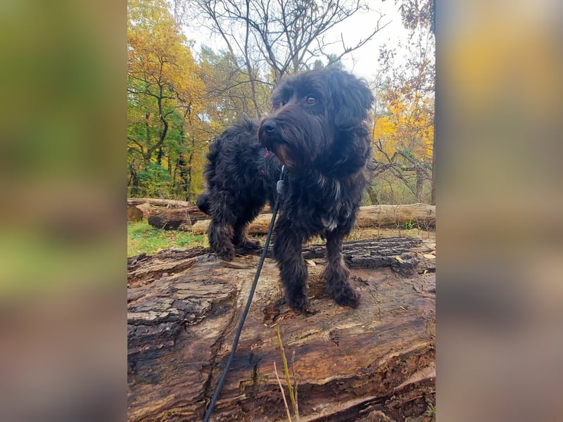 Rogella ist eine richtige Frohnatur (12621 Berlin)