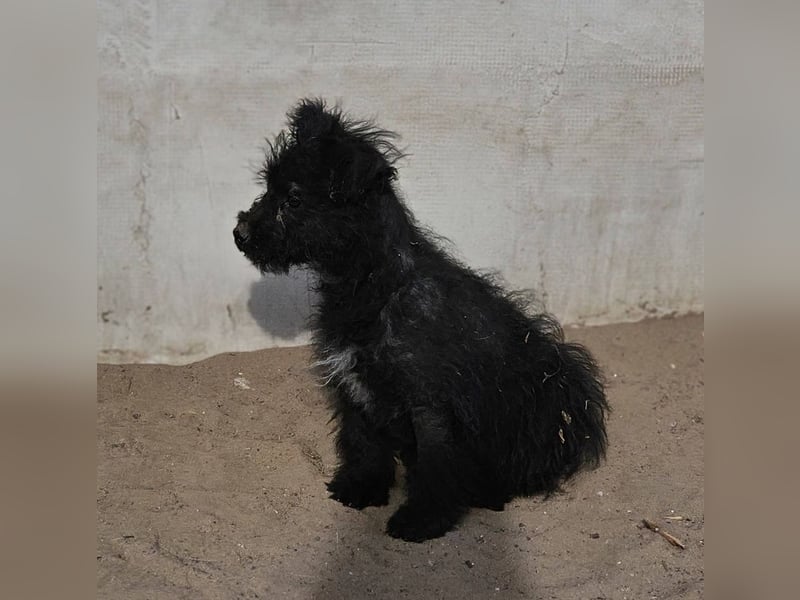 Flohkus entdeckt mit Begeisterung Neues
