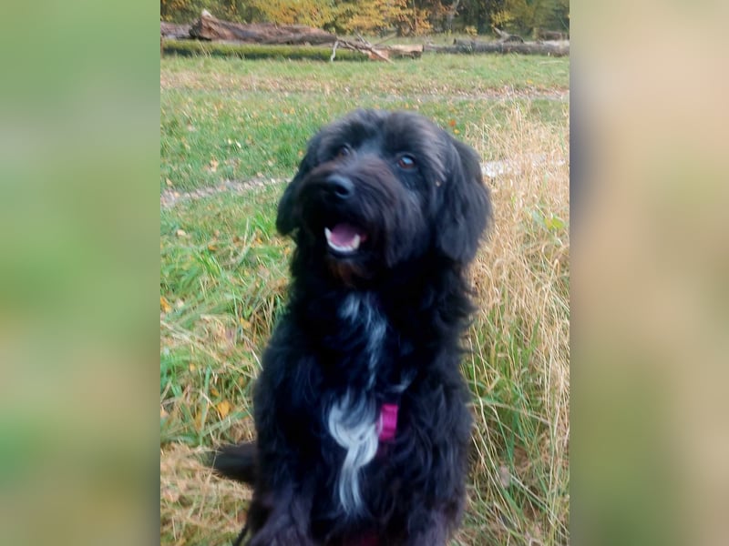 Rogella ist eine richtige Frohnatur (12621 Berlin)