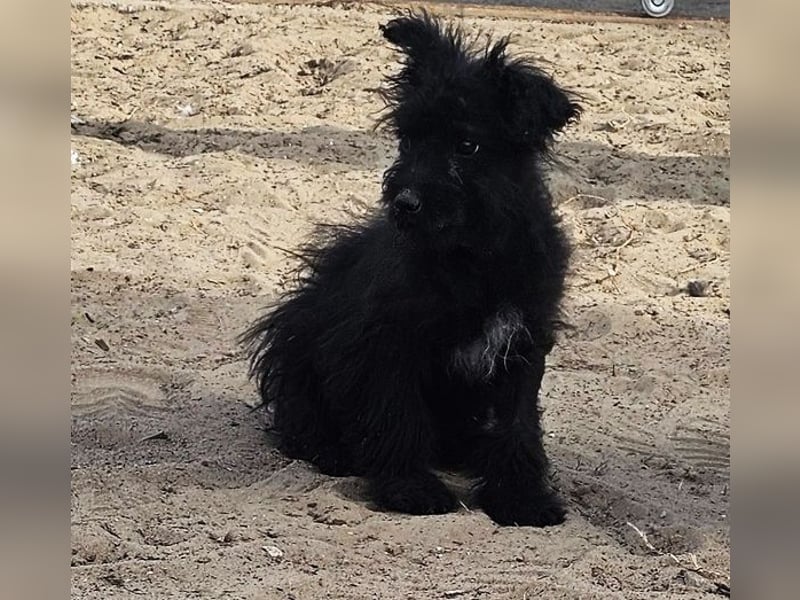 Flohkus entdeckt mit Begeisterung Neues