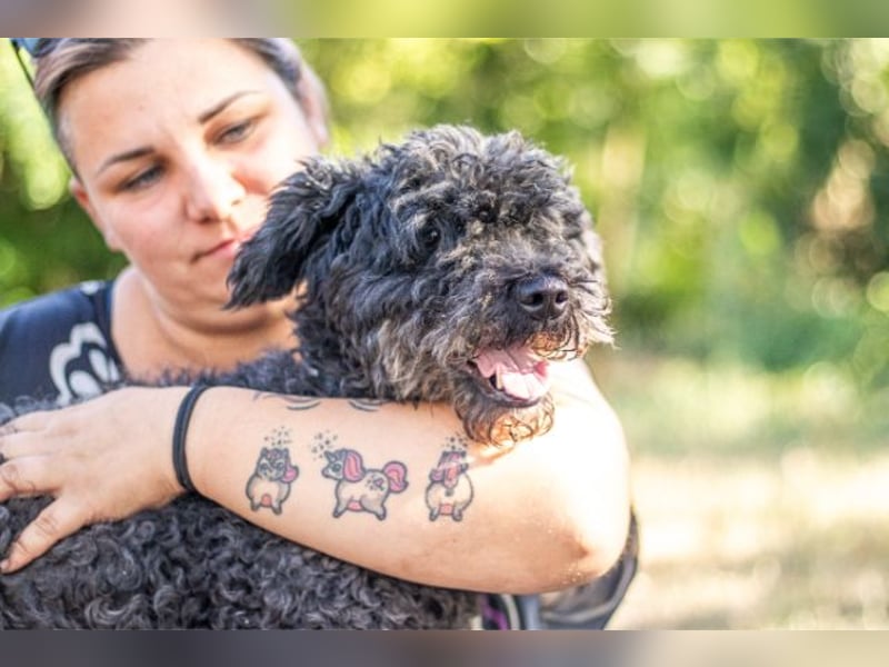 Emma, fröhliche Puli/Pumimixhündin, ca. 3 Jahre, ca. 40 cm, ca. 12 kg *in 47198 Duisburg*