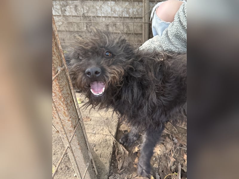 Beneth -Ich hab ein Herz zum verlieben