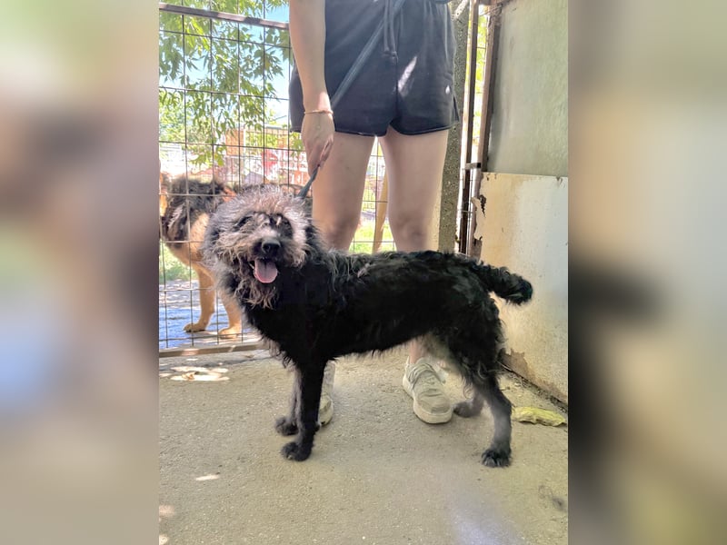 Beneth wartet sehnsüchtig auf ihre Familie