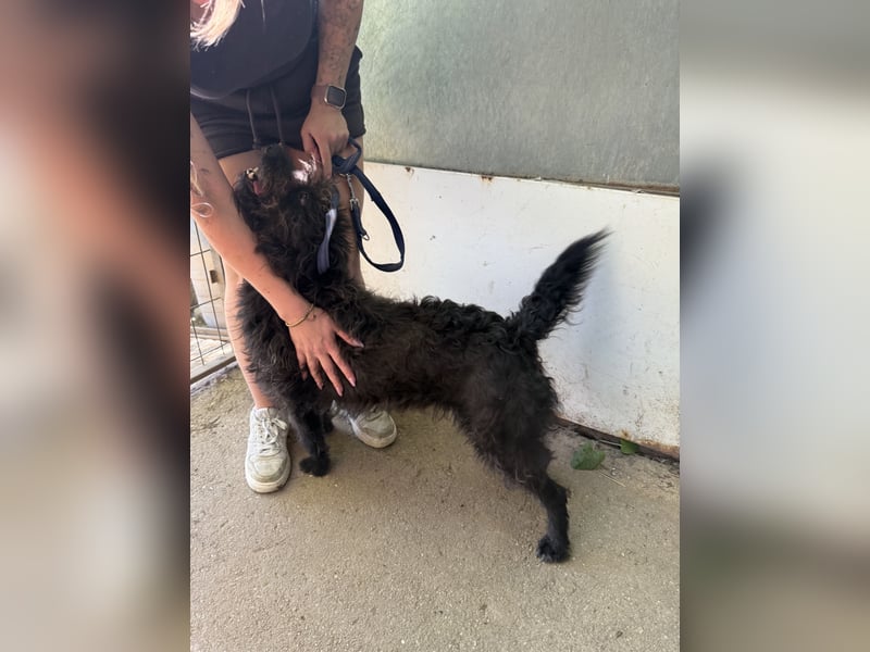 Beneth wartet sehnsüchtig auf ihre Familie