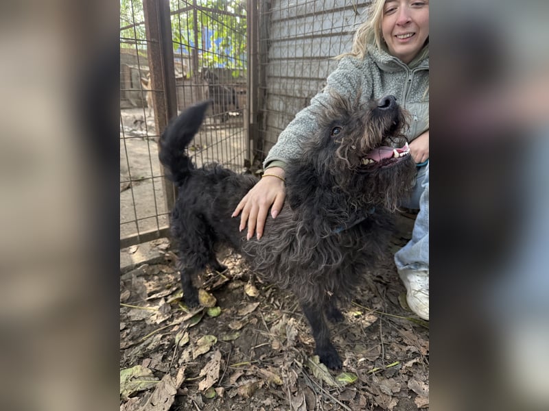 Beneth -Ich hab ein Herz zum verlieben