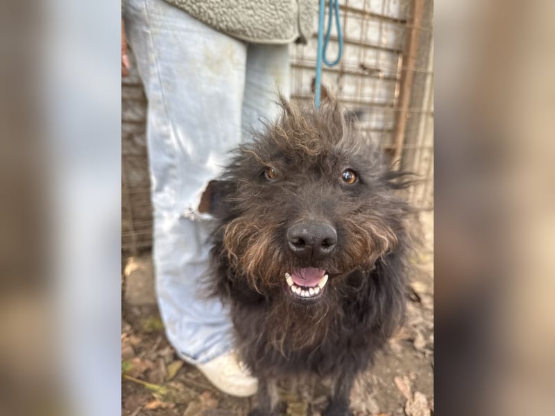 Beneth wartet sehnsüchtig auf ihre Familie