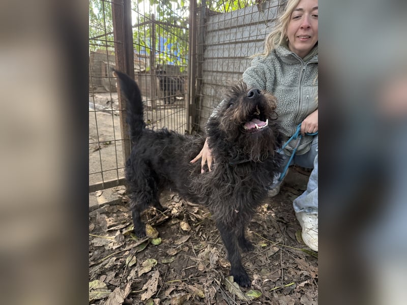 Beneth sucht ihr Für Immer Körbchen