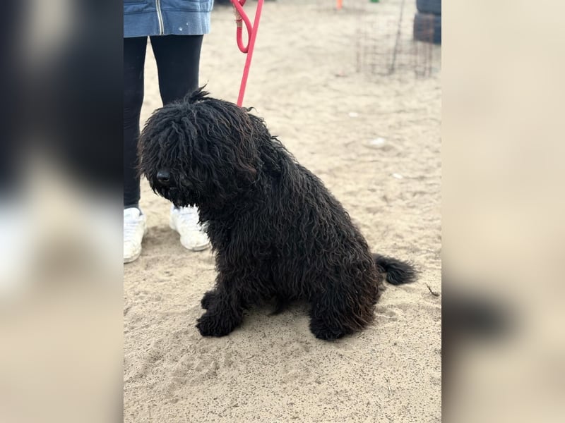 Godo wartet sehnsüchtig