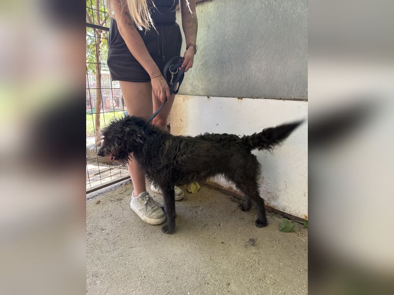 Beneth- Sie bringt eine extra Portion Lebensfreude mit