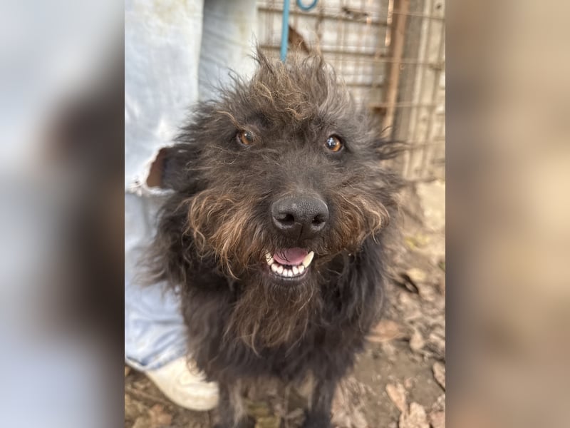 Beneth -Ich hab ein Herz zum verlieben