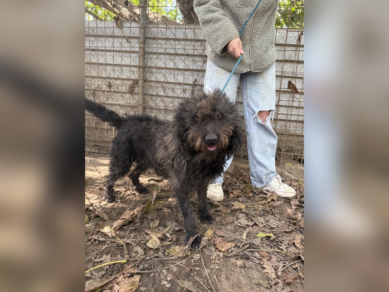 Beneth - sucht ihre Familie!