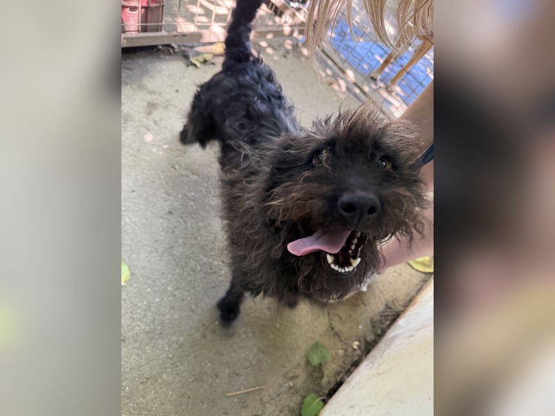 Beneth wartet sehnsüchtig auf ihre Familie