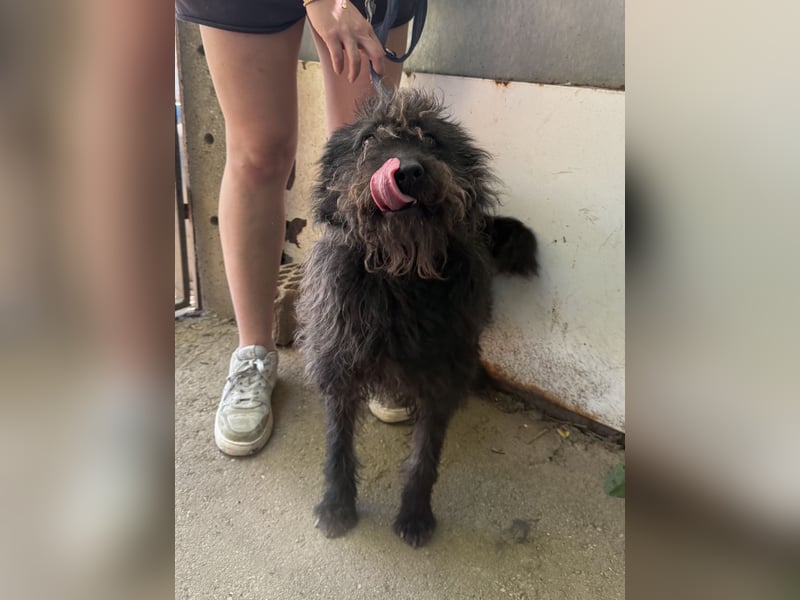 Beneth hofft auf ein neues Kapitel