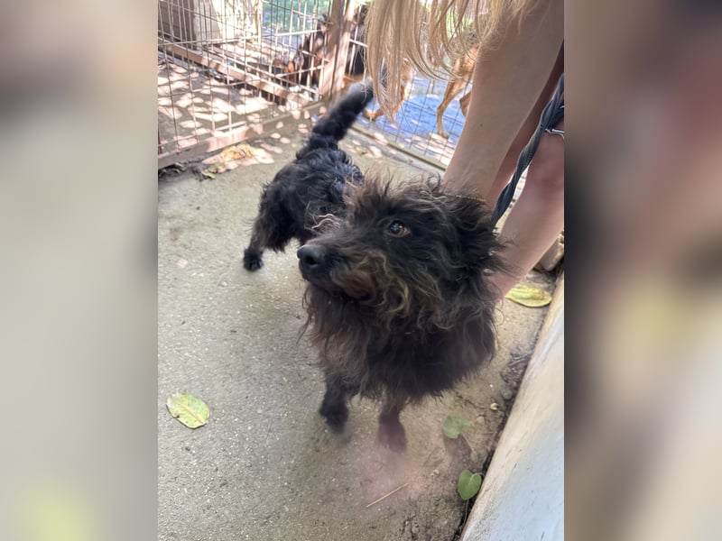 Beneth wartet sehnsüchtig auf ihre Familie