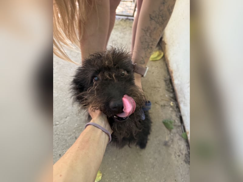 Beneth möchte nicht länger warten