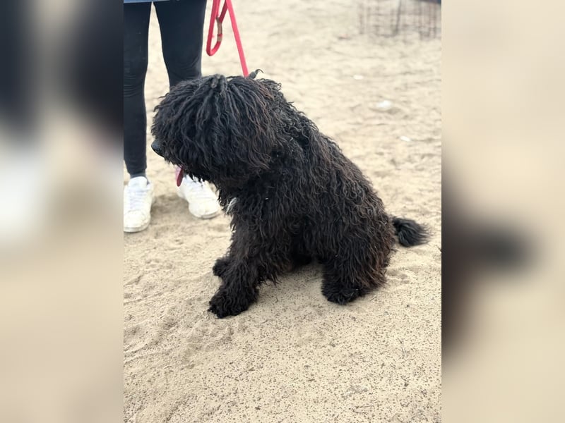 Godo wartet sehnsüchtig