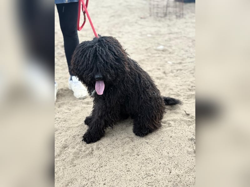 Godo wartet auf dich