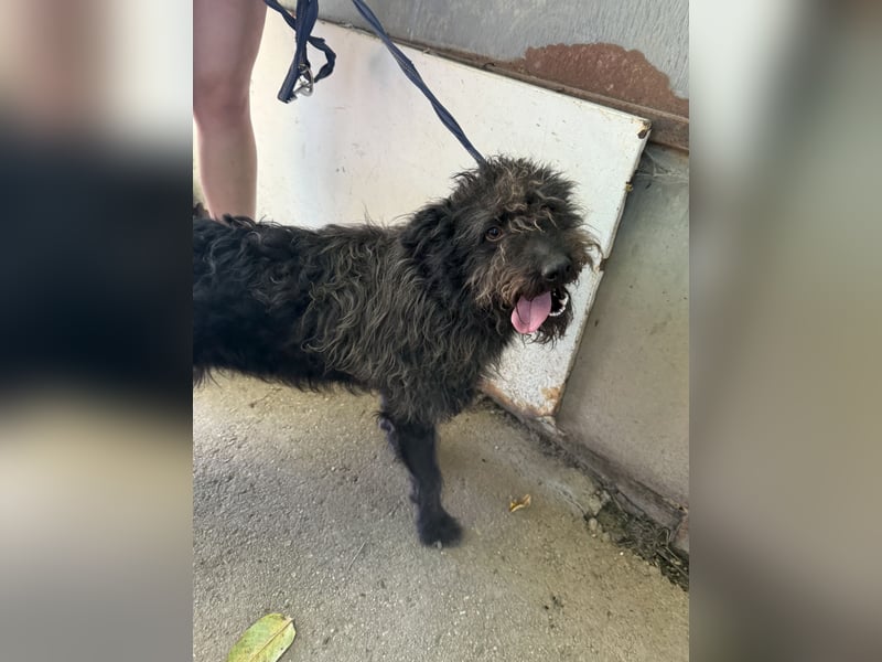 Beneth- Sie bringt eine extra Portion Lebensfreude mit