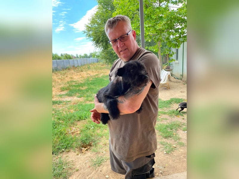 Adam, kleiner Welpi mit Flausen im Kopf