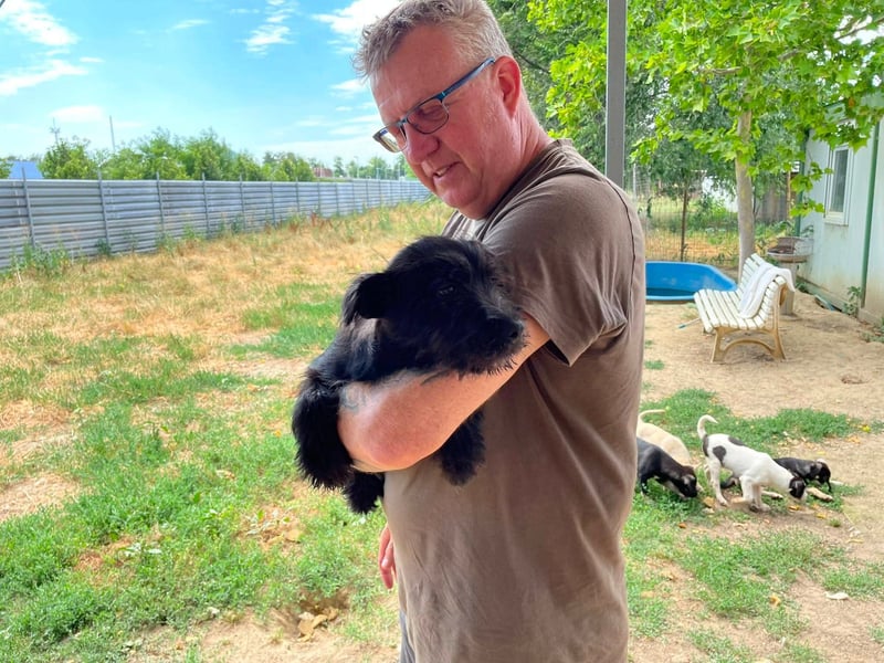 Adam, kleiner Welpi mit Flausen im Kopf