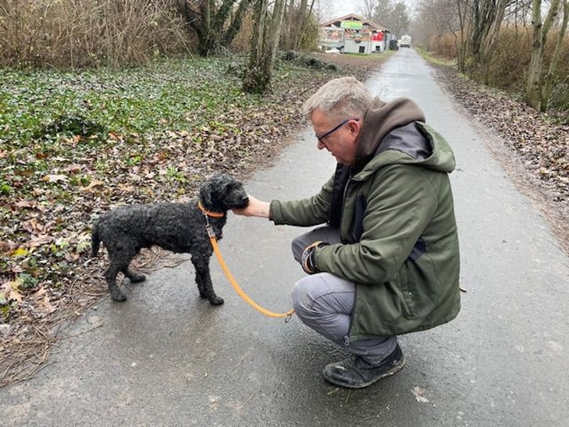 Rongy wurde völlig verwahrlost gefunden