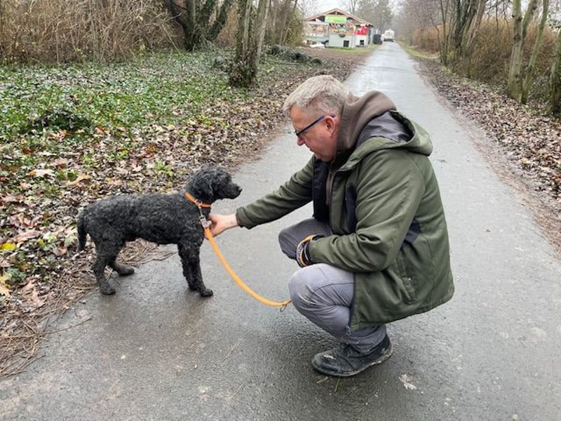 Rongy wurde völlig verwahrlost gefunden
