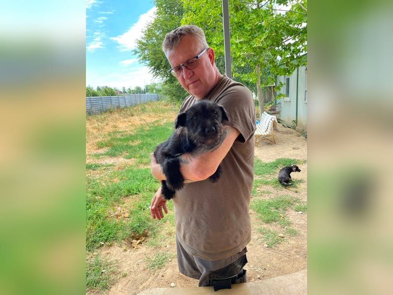 Adam, kleiner Welpi mit Flausen im Kopf