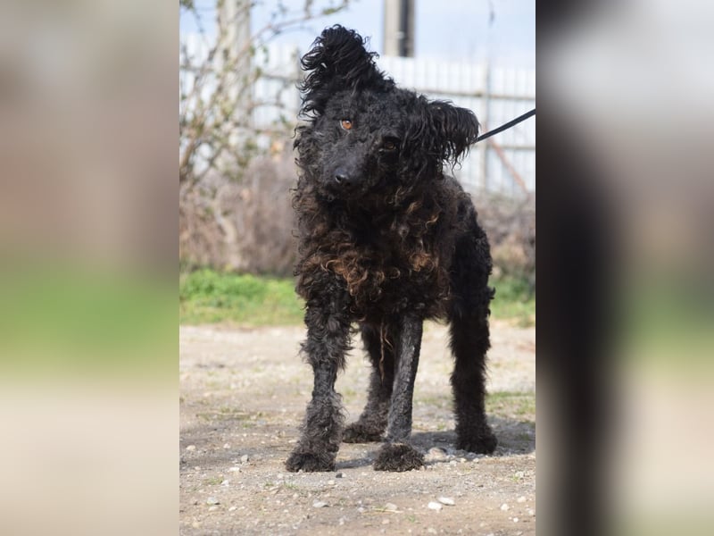 Cordula - anfangs skeptisch, zeigt dann aber ihren liebenswerten Charakter