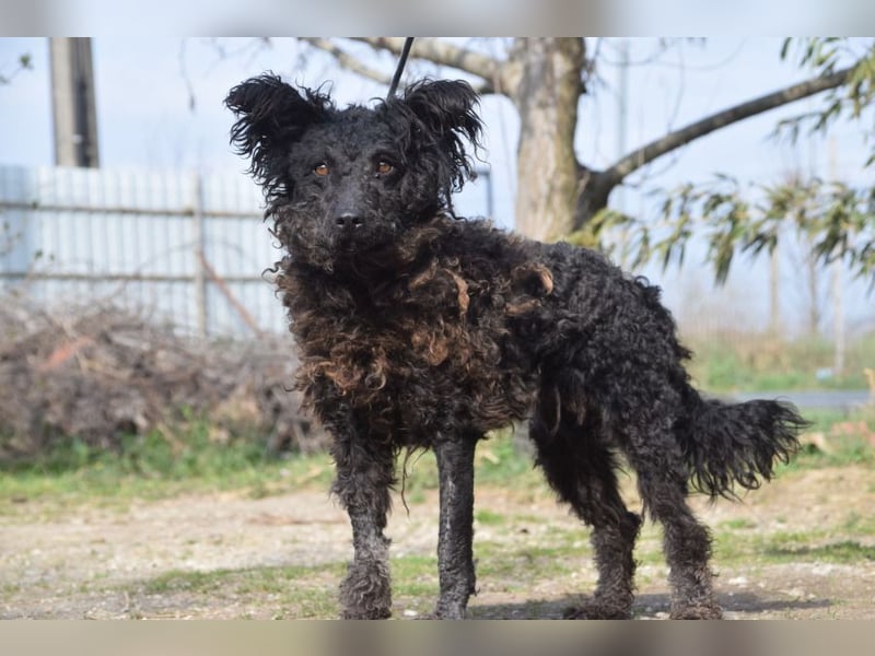 Cordula - anfangs skeptisch, zeigt dann aber ihren liebenswerten Charakter