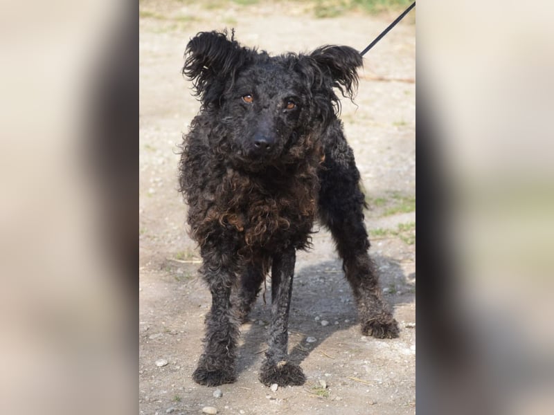 Cordula - anfangs skeptisch, zeigt dann aber ihren liebenswerten Charakter