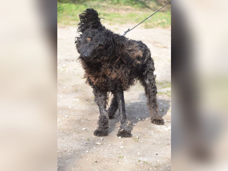 Cordula - anfangs skeptisch, zeigt dann aber ihren liebenswerten Charakter
