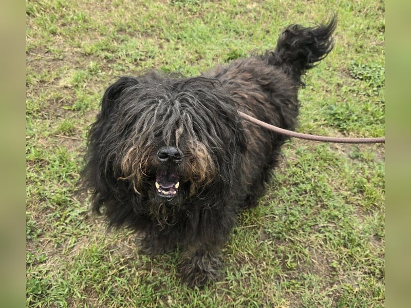 Barnaby im Stich gelassen