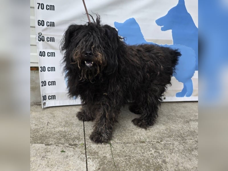 Barnaby im Stich gelassen