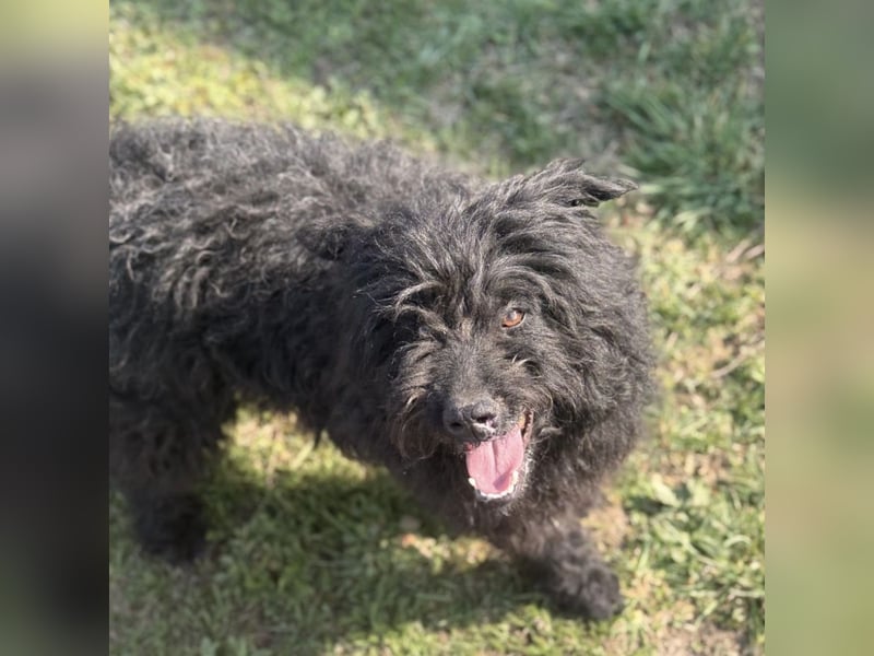 Miki eine sanfte Seele