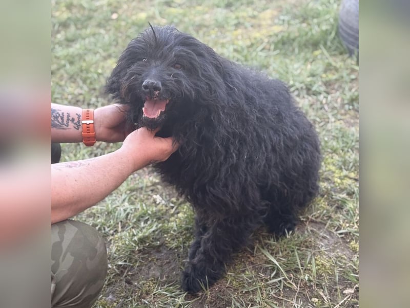 Miki eine sanfte Seele