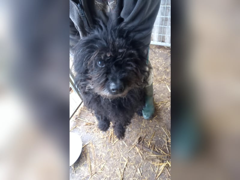 Rambo-PP, wo sind seine Menschen?