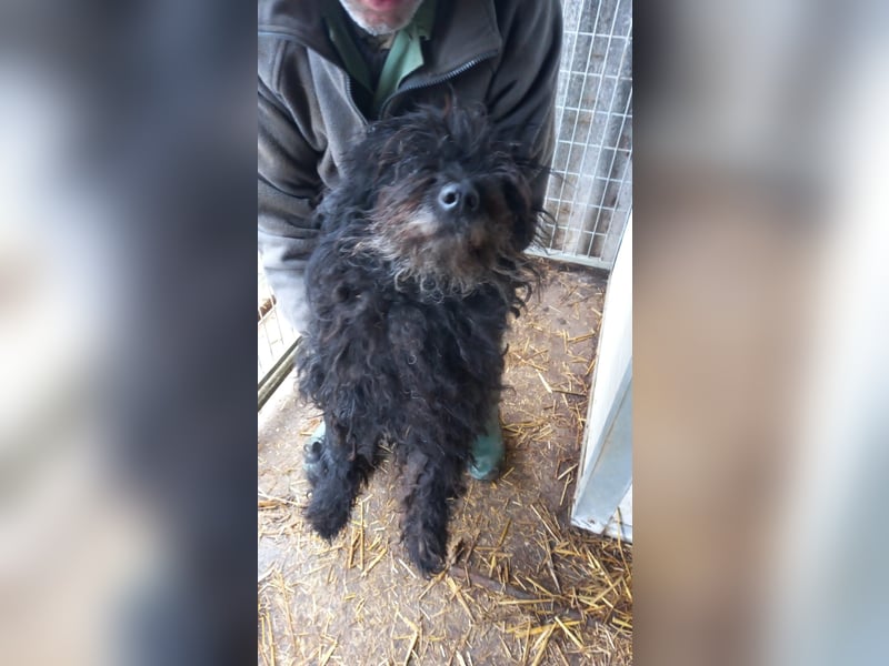 Rambo-PP, wo sind seine Menschen?