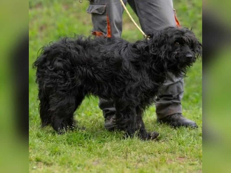 Fényes Zsó