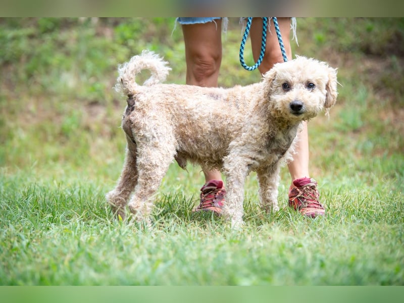 Orinoco