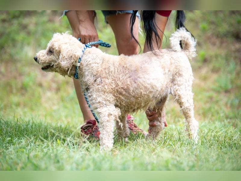 Orinoco