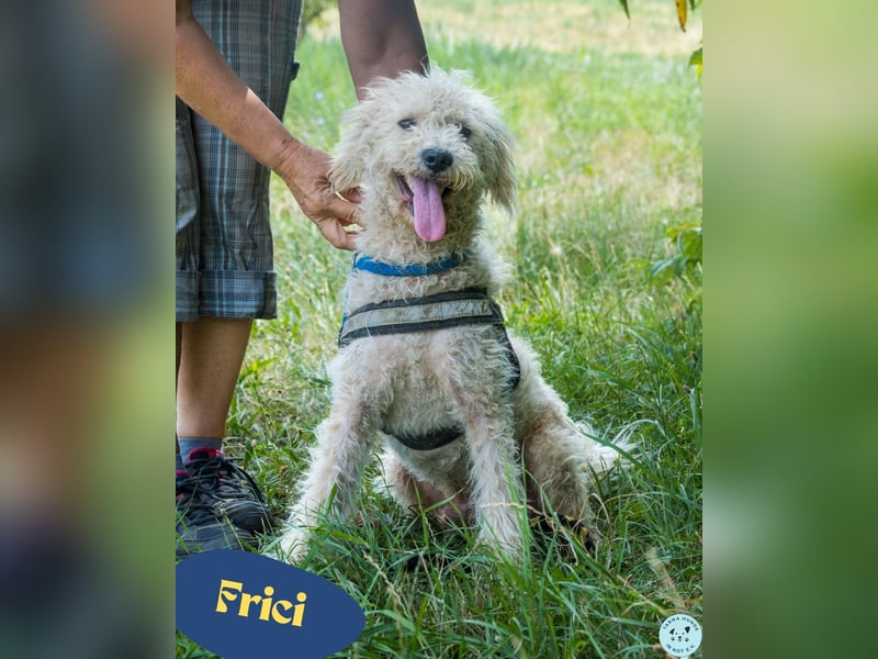 Frici SI, sehr offen und freundlich