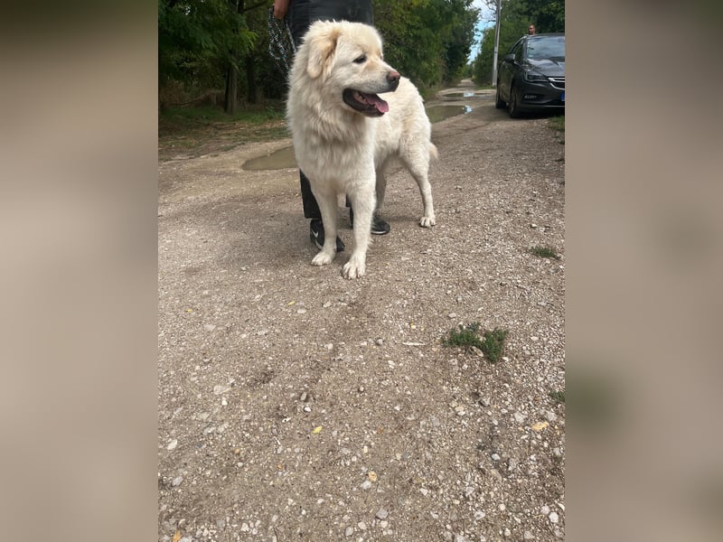 Mont Blanc VA– weisser Riese mit großem Herz