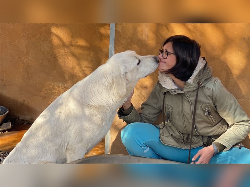 Lena - Großes, schneeweißes Lady auf der Suche nach gaaaanz viel Liebe!