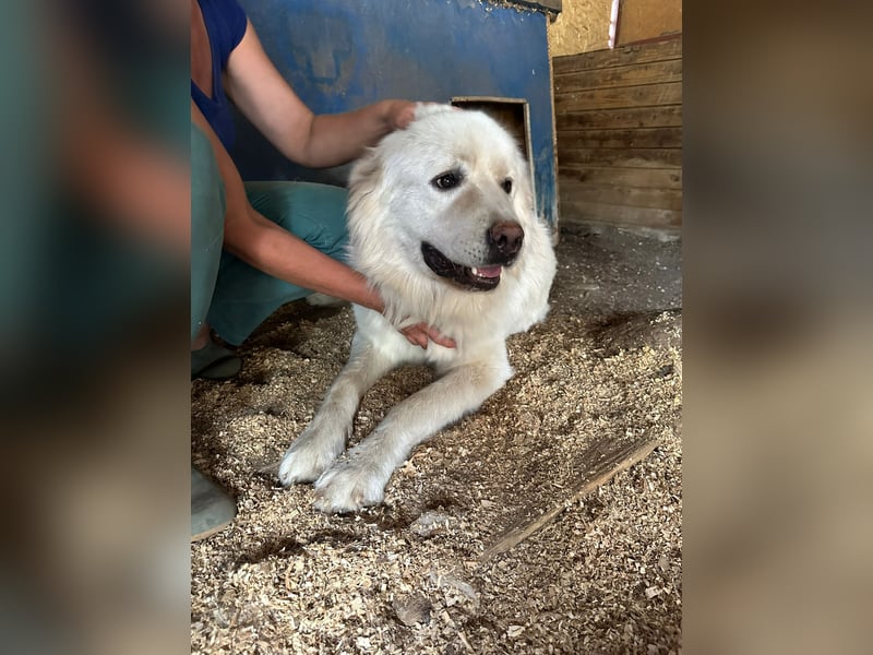 Mont Blanc VA– weisser Riese mit großem Herz