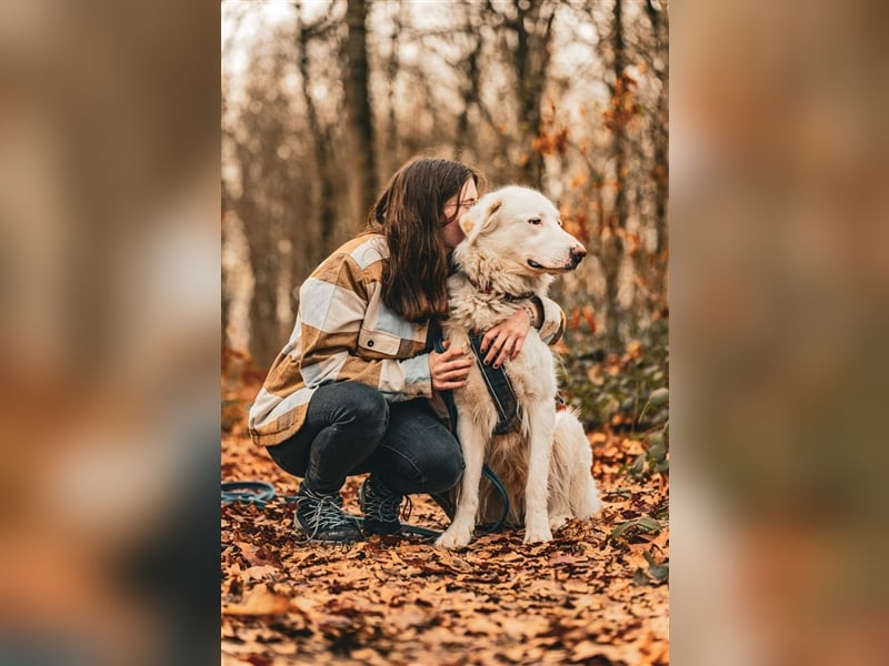 Erna wartet in Tierpension Tannenhof 54597 Wallersheim